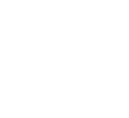 Malek-Holdings